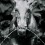 Seven_Terrors