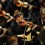 NYOS,Perth Concert hall,Perth, with Nicola Beneddeti.