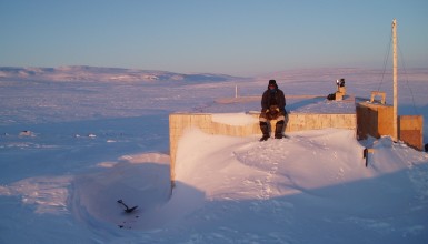 Arctic Perspective Third Culture 2008-2010
