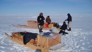 Arctic Perspective Third Culture 2008-2010