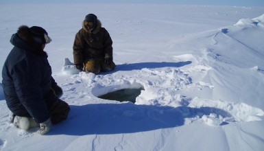 Arctic Perspective Third Culture 2008-2010