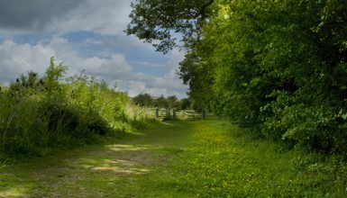 Northamptonshire. Copyright: Paul Mills